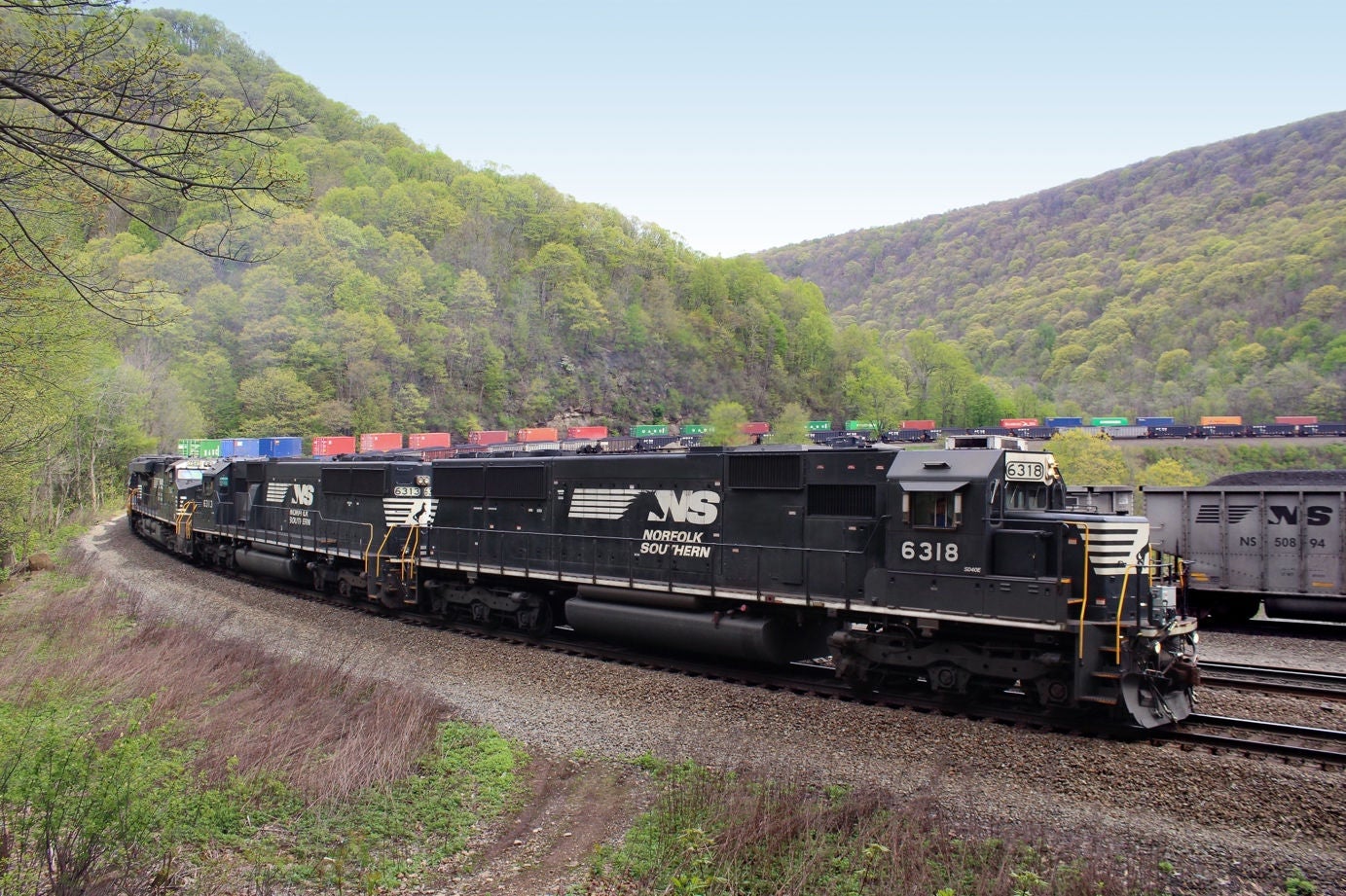 NS-Picture1-10-3-23