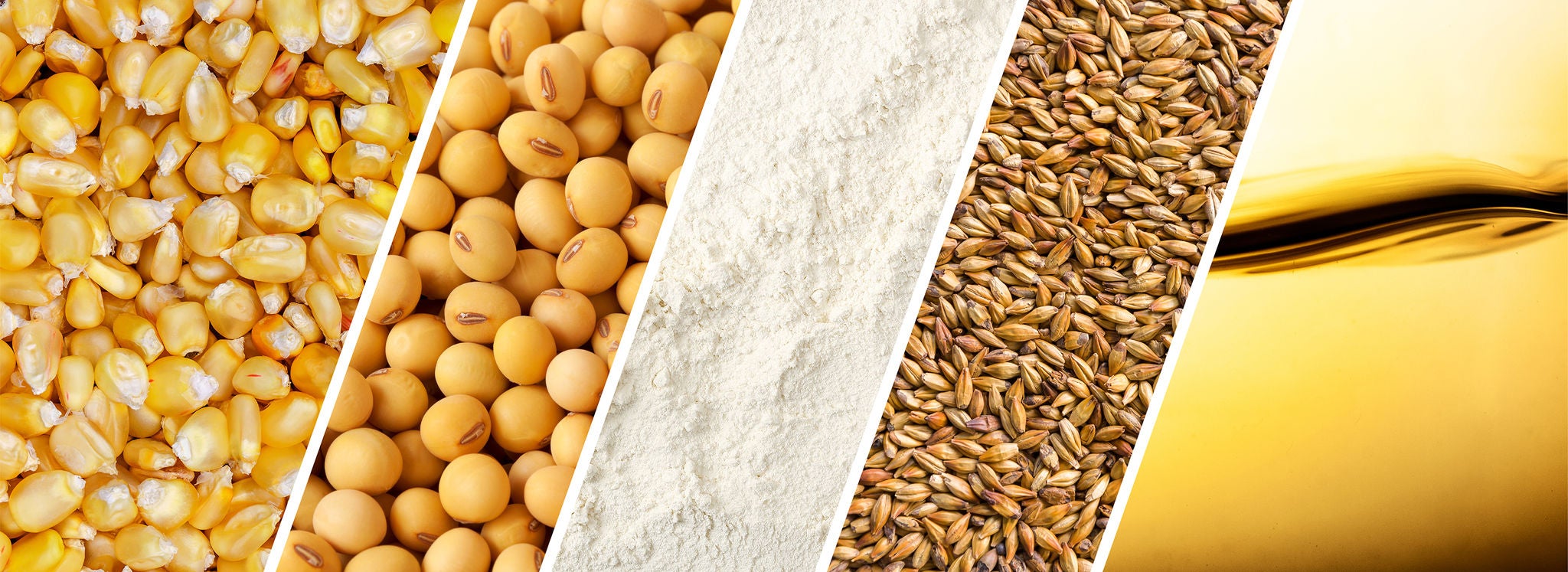 CLOSE UP SHIPPABLE AGRICULTURAL PRODUCTS CORN WHEAT SOYBEANS