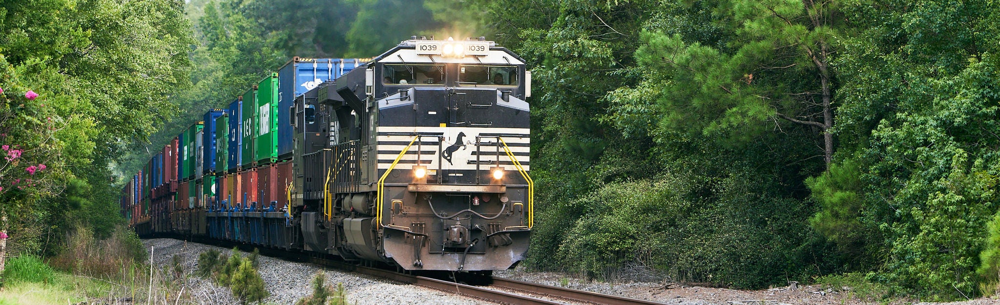 Norfolk Southern train in South Carolina