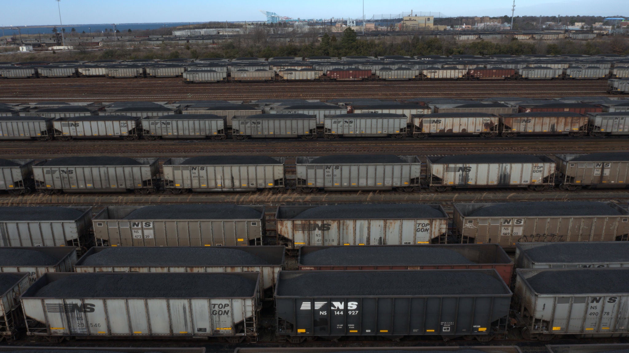 Coal