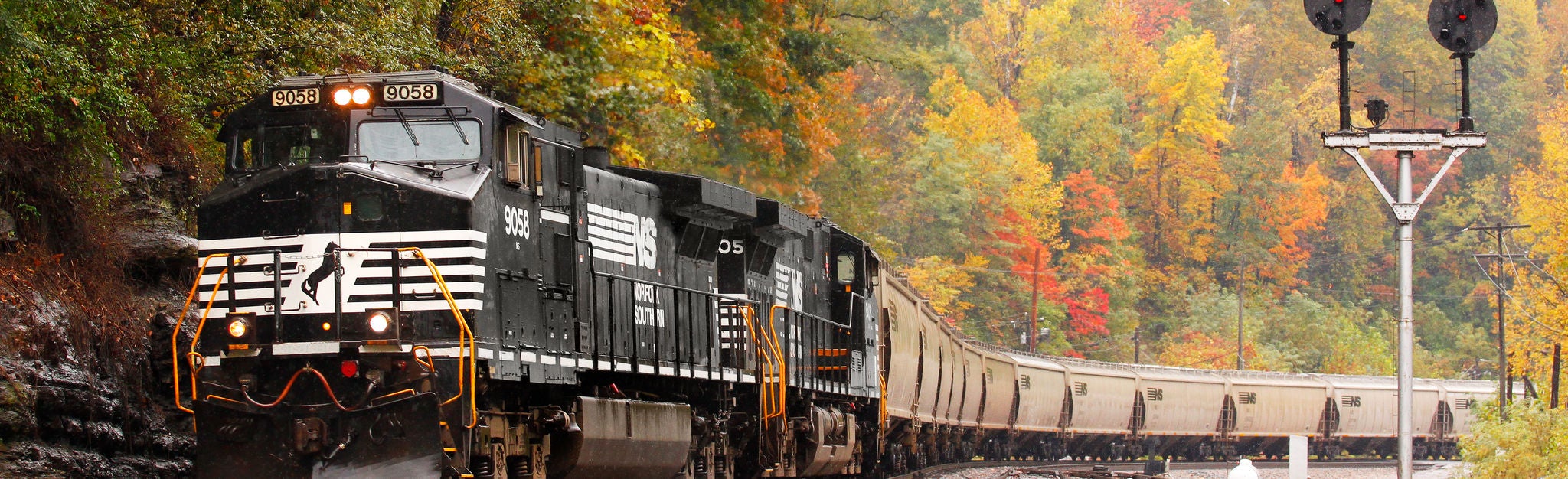 Grain cars in Fall